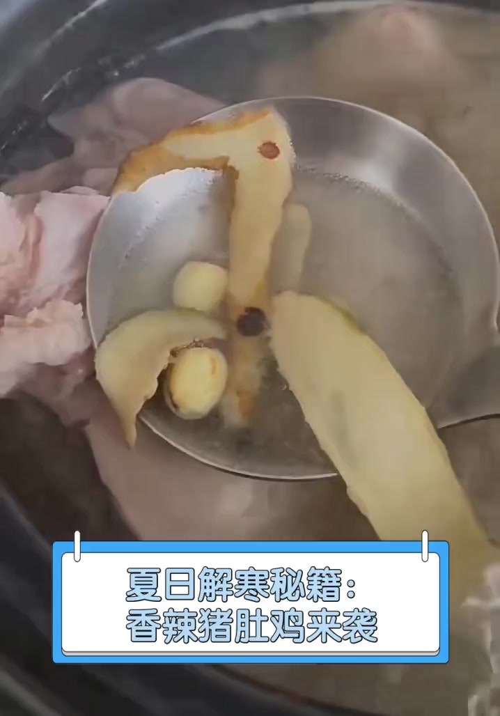夏日解寒秘籍:香辣猪肚鸡来袭