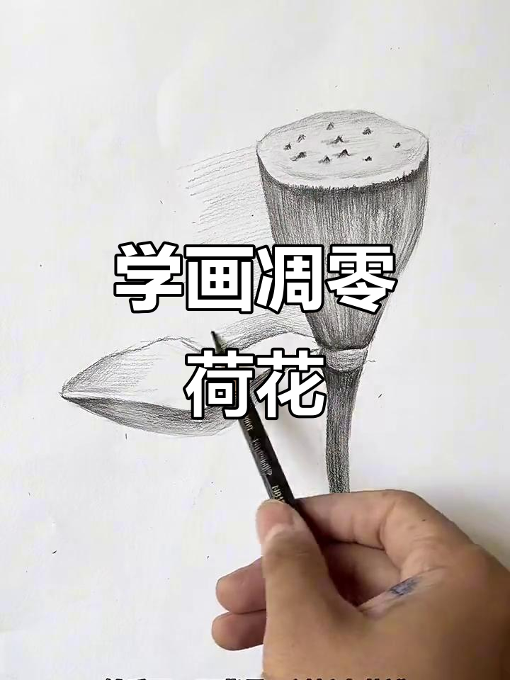 画凋零荷花,步骤详解轻松学会
