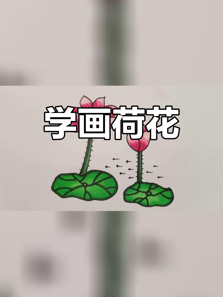 儿童创意荷花简笔画教程