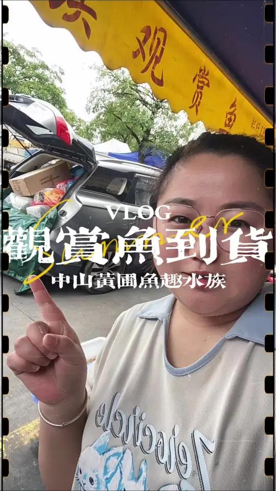 观赏鱼入门怎么选,艳子一个视频带你了解水族馆的各种鱼类,喜欢养鱼的朋友欢迎来店里打卡选鱼~