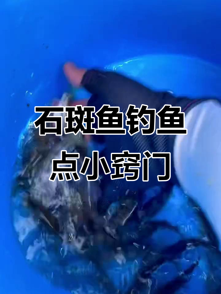 溪流钓石斑鱼技巧,找对位置轻松抓