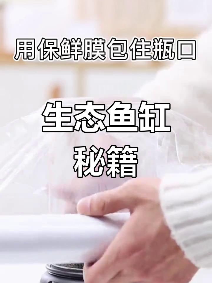 无需过滤,打造生态鱼缸,治愈又美观,轻松享受自然水景