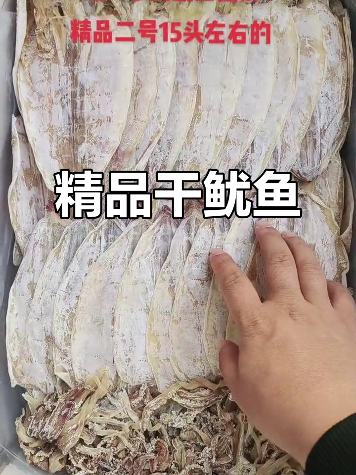 精选干鱿鱼,15个左右一斤,烧烤必备!
