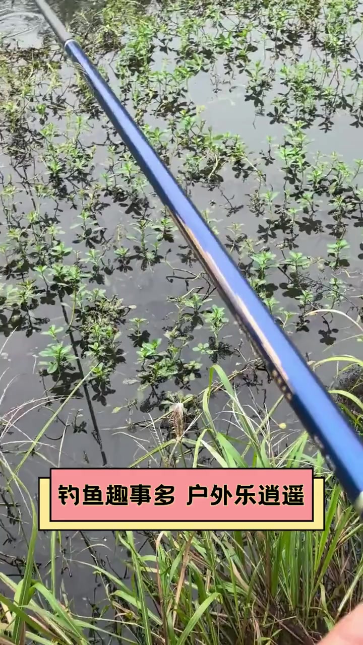 钓鱼趣事多,户外乐逍遥