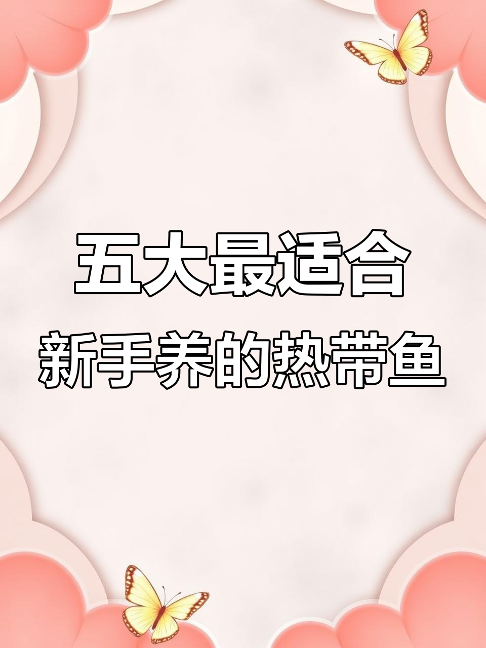 新手必养五种中大型热带鱼,银龙、四龙等超适合入门