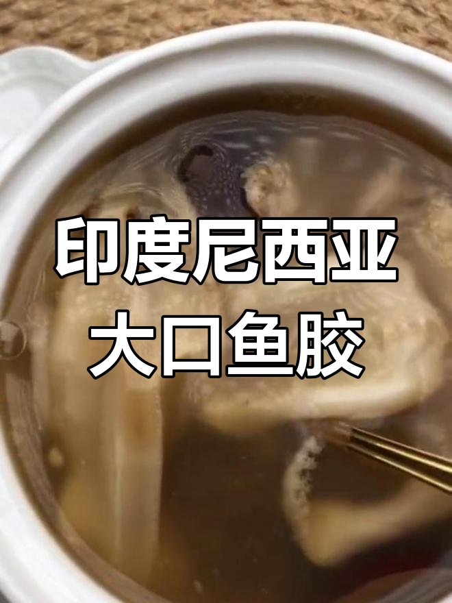 大口赤敏鱼胶的印尼产地揭秘