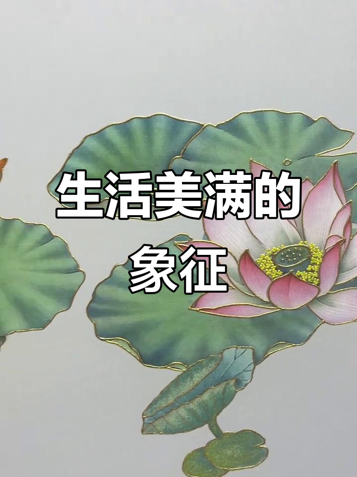 荷花、荷叶与金鱼,寓意生活美好、家庭兴旺、财富源源不断