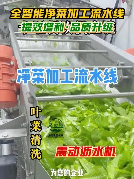 别人做净菜毛利能做到40%，你拼死拼活只有15%？核心差距，全在这条加净菜工流水线上！#净