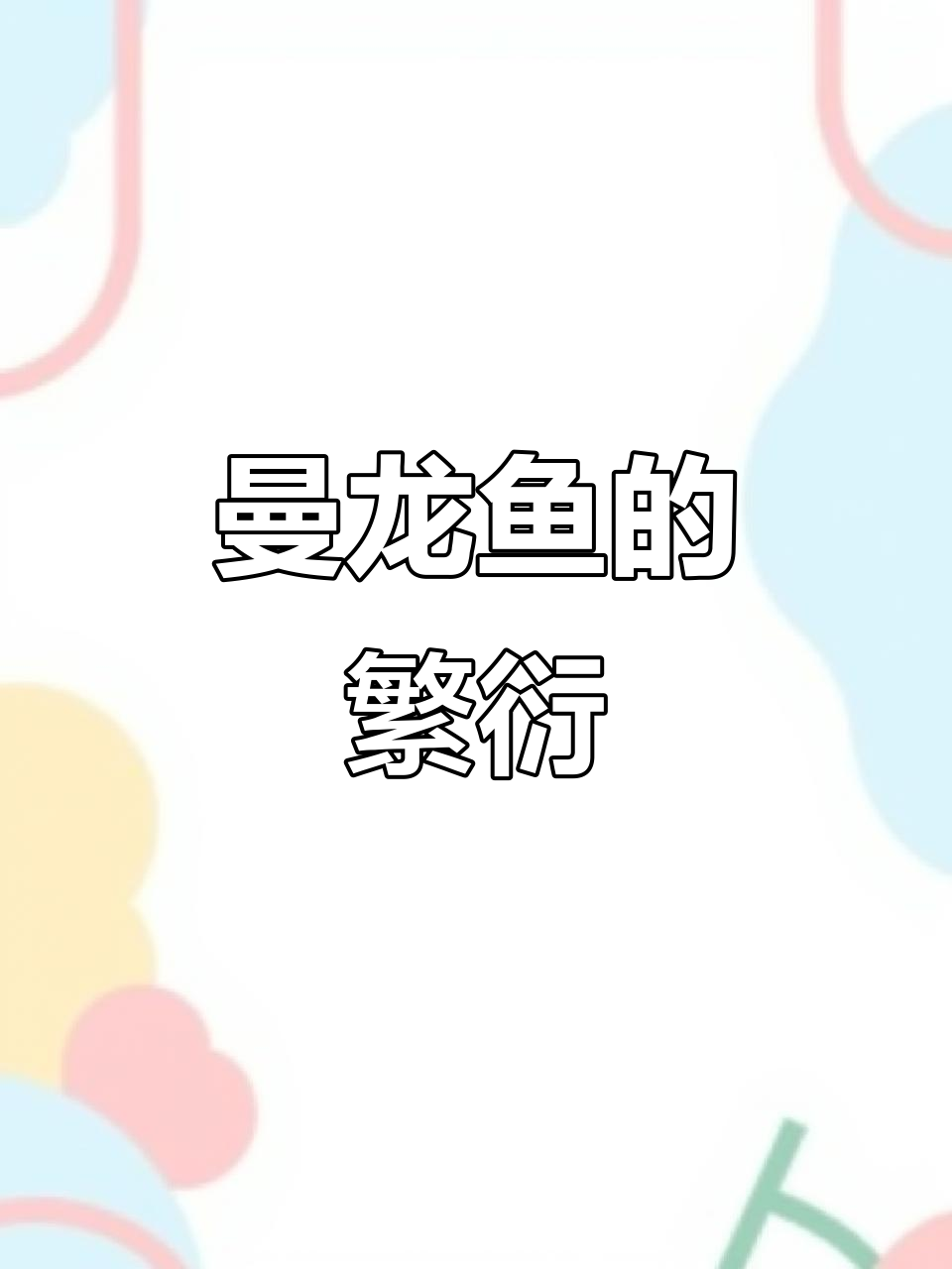 曼龙鱼首次繁殖，公母共舞水中，精彩瞬间尽显生命奇迹