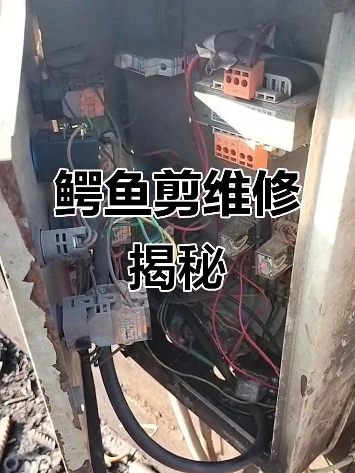 鳄鱼剪电路故障修复,液压设备维护全过程