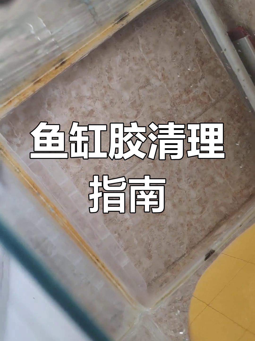 鱼缸胶发霉,如何清除?不处理会影响小鱼吗?