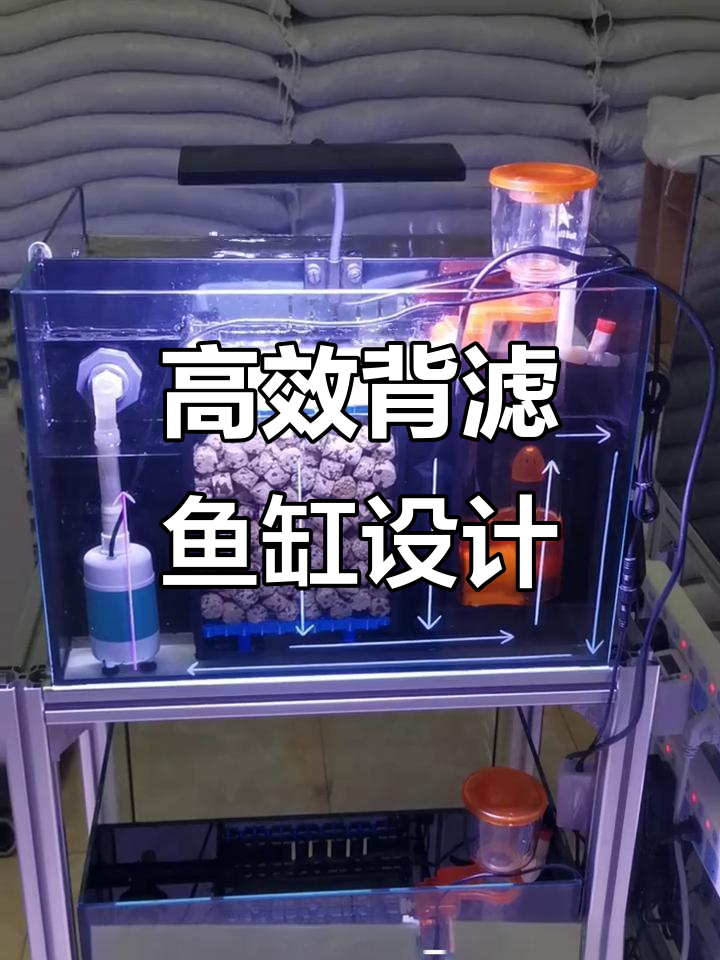 高效背滤鱼缸设计