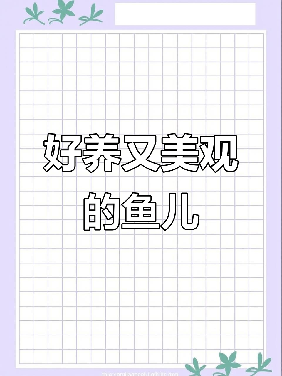 早安,今天带来一款超好养的观赏鱼,快来直播间一起欣赏!