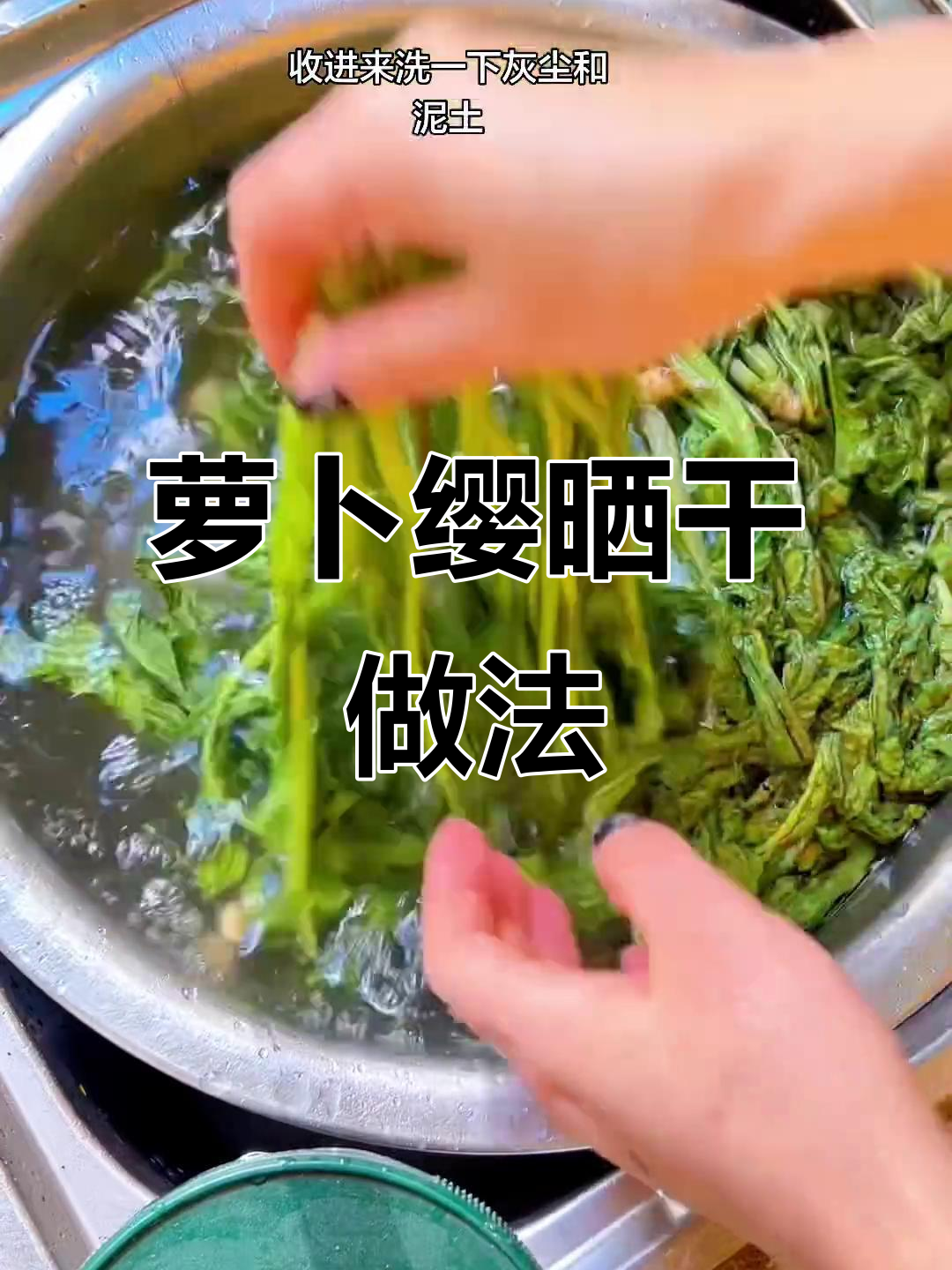 吃完萝卜后的缨子别丢,晒干炒汤都美味