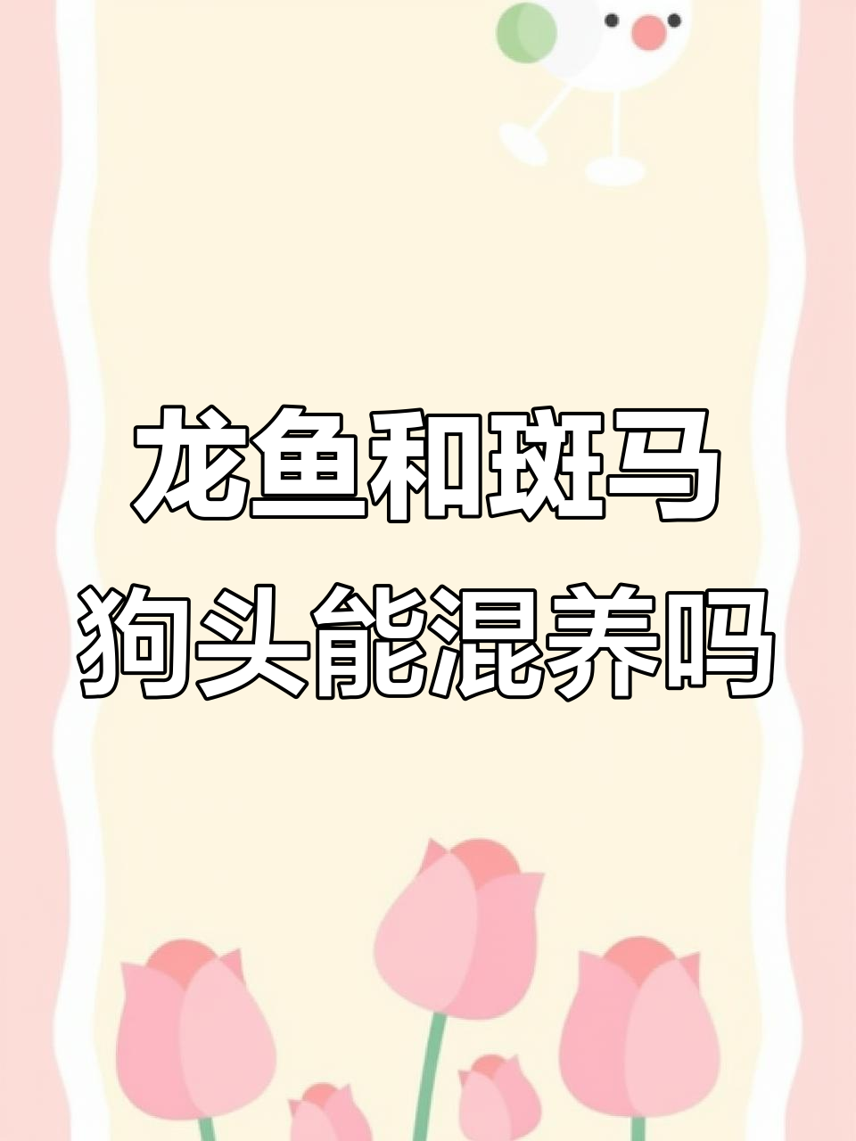 金龙鱼与斑马狗头能否和平共处?实验结果揭晓