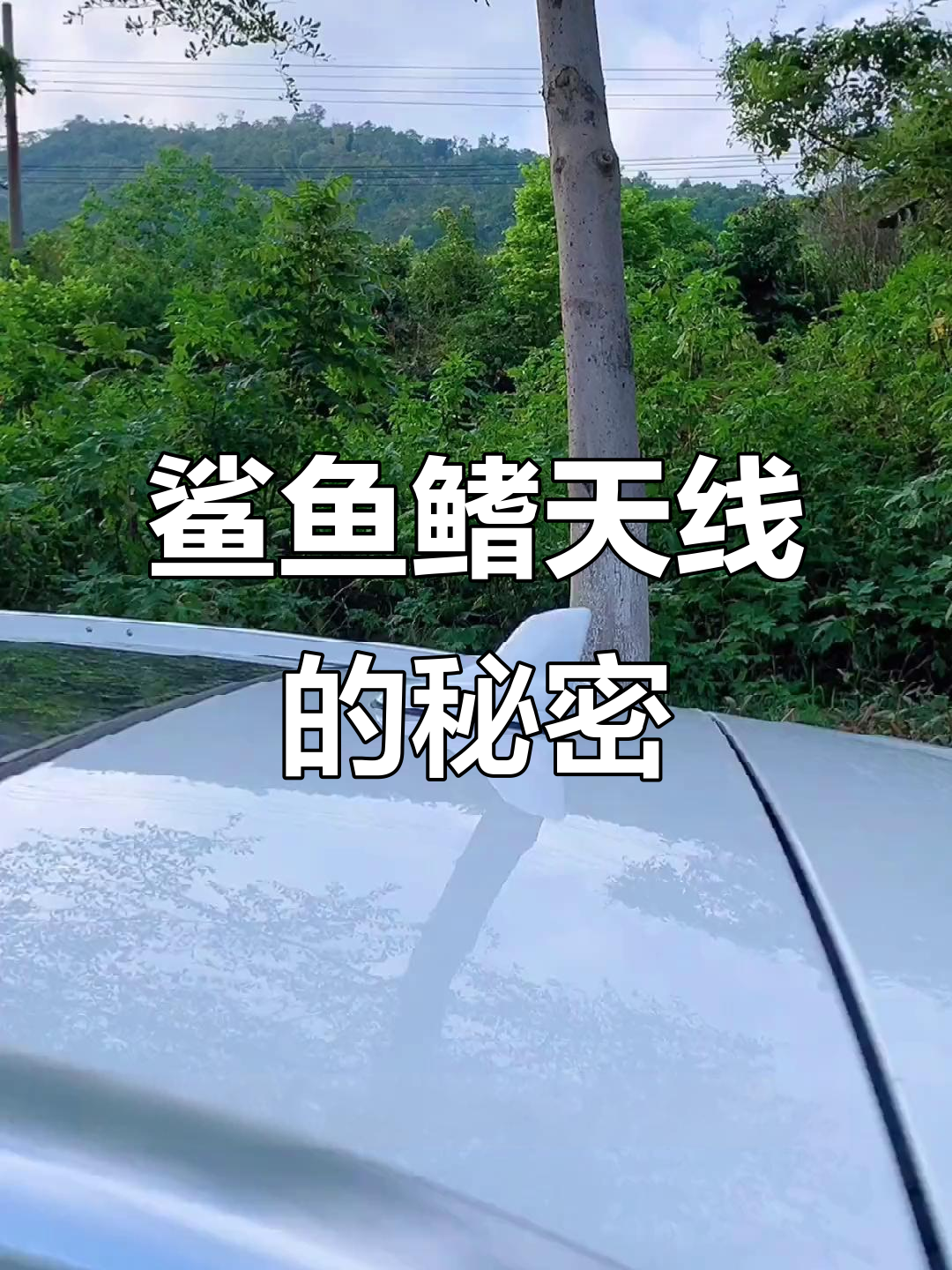 鲨鱼鳍天线如何降低汽车阻力?揭秘背后的原理