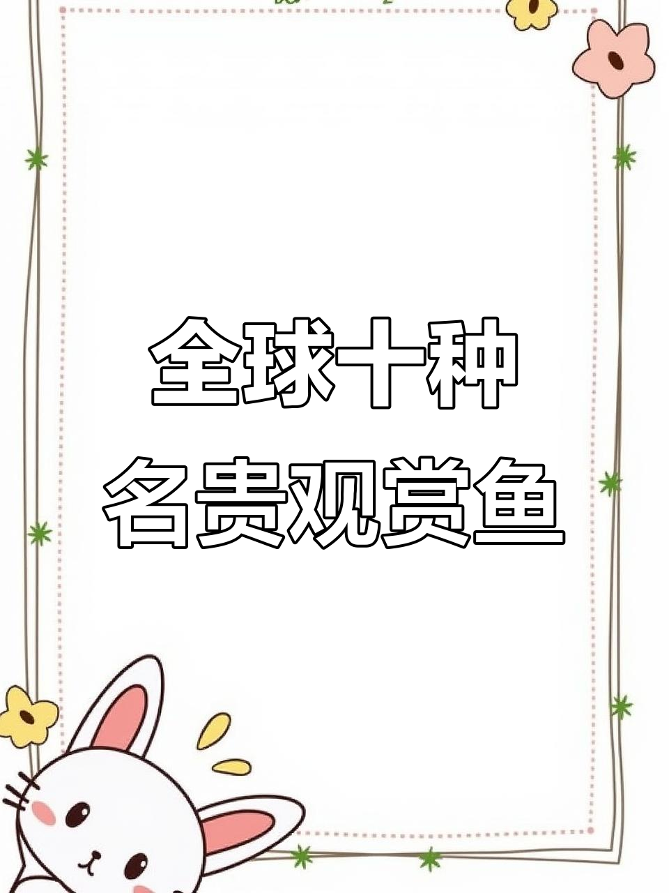 世界十大最贵观赏鱼,楼兰、血红龙等上榜