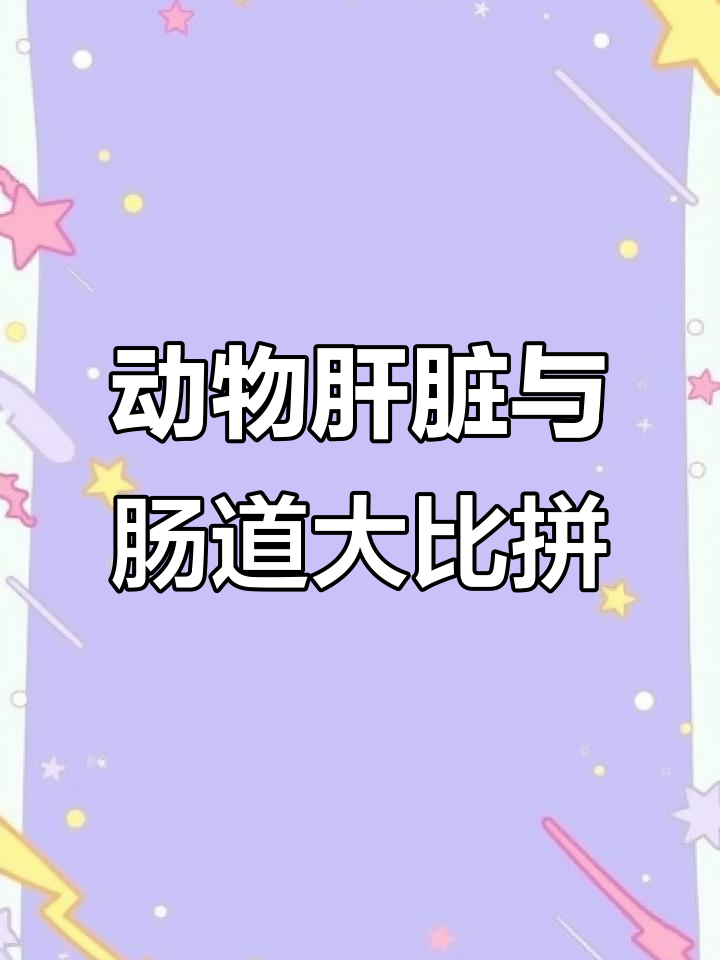 从青蛙到鲸鱼,动物器官大小对比,人类竟如此渺小