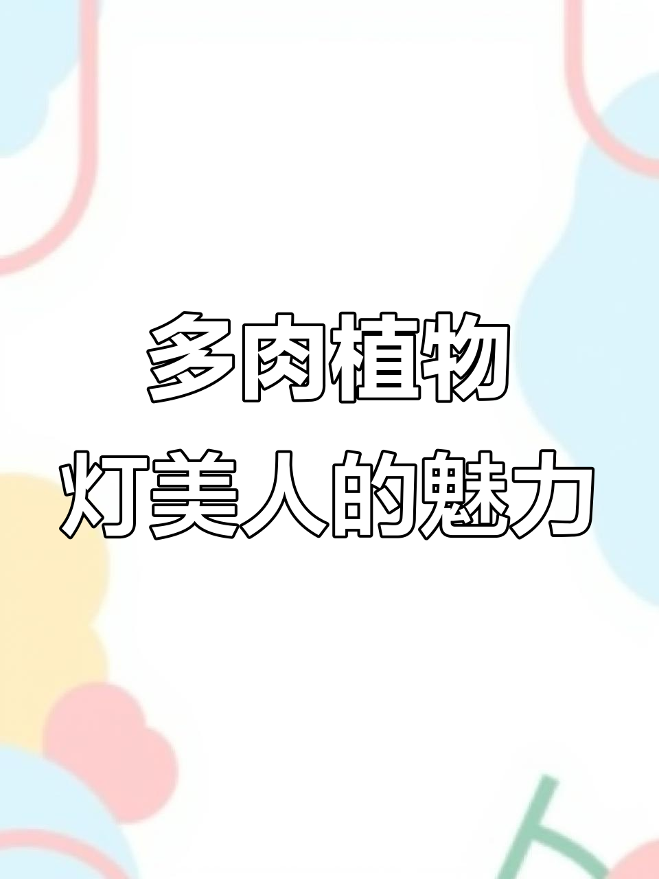 灯美人多肉:叶厚如纸,秋冬变色惊艳