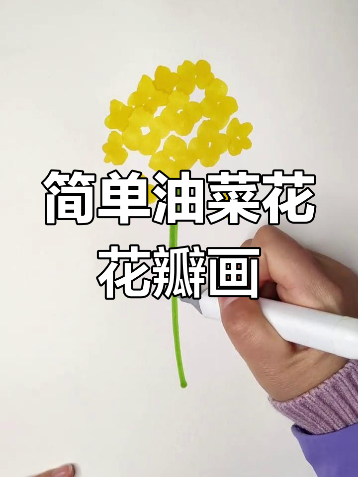 油菜花简笔画,轻松学会的手工艺术