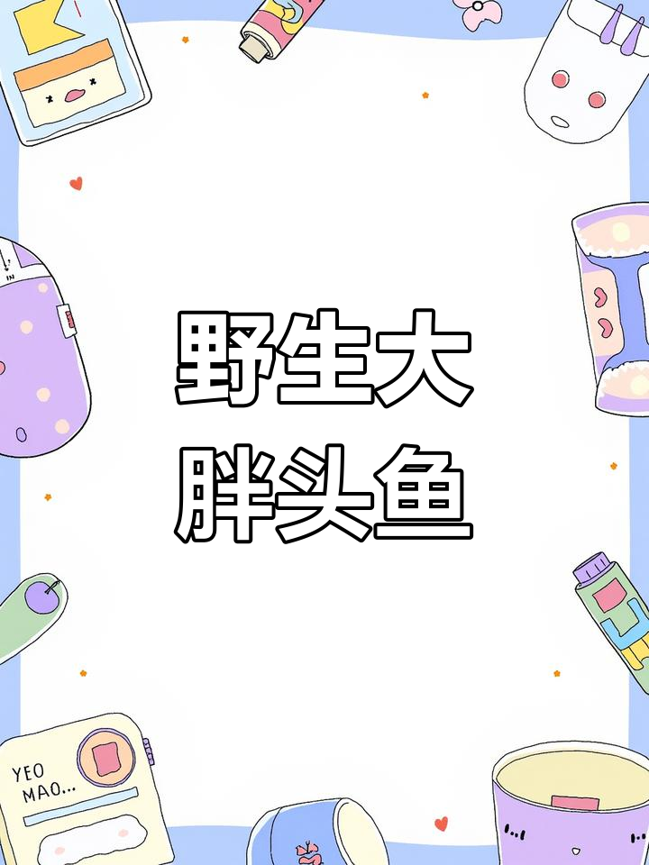 吉林查干湖冬捕大胖头鱼