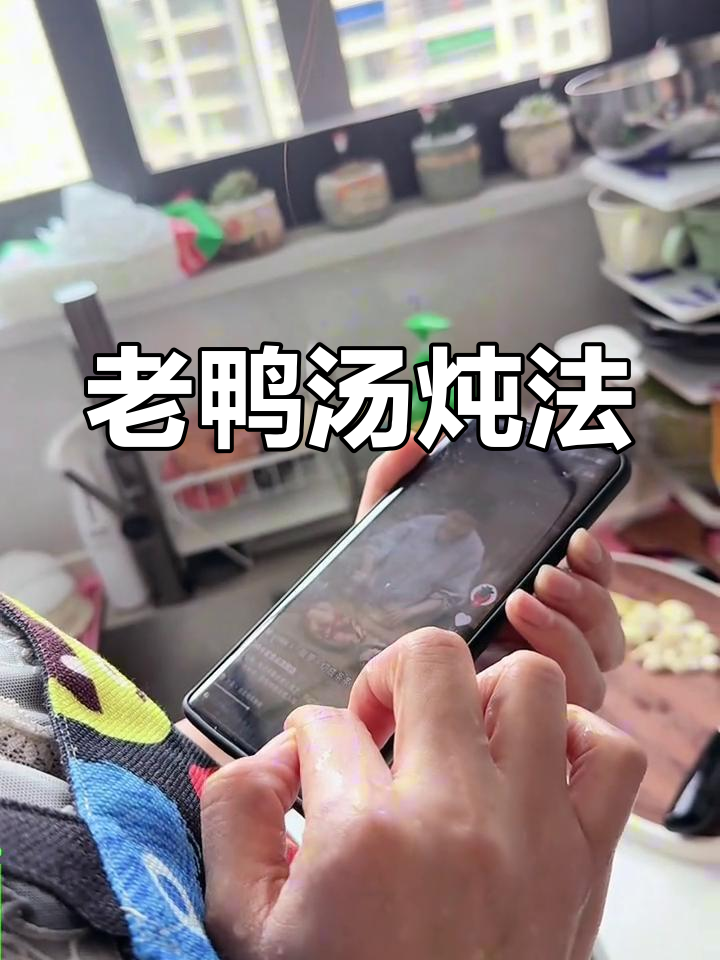 炖老鸭汤,厨房日常大揭秘!