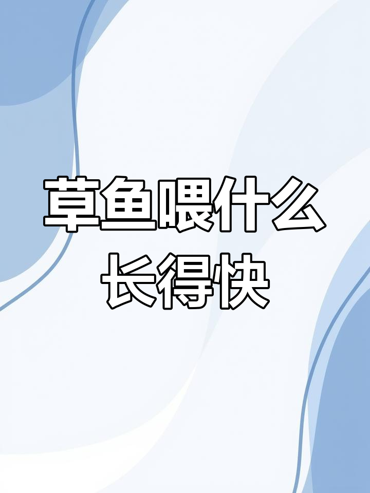 草鱼吃什么能长得快?一年能长多大,养殖技巧全揭秘