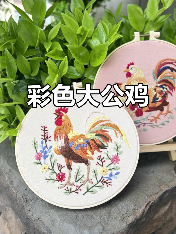 五彩大公鸡，美丽又炫目！