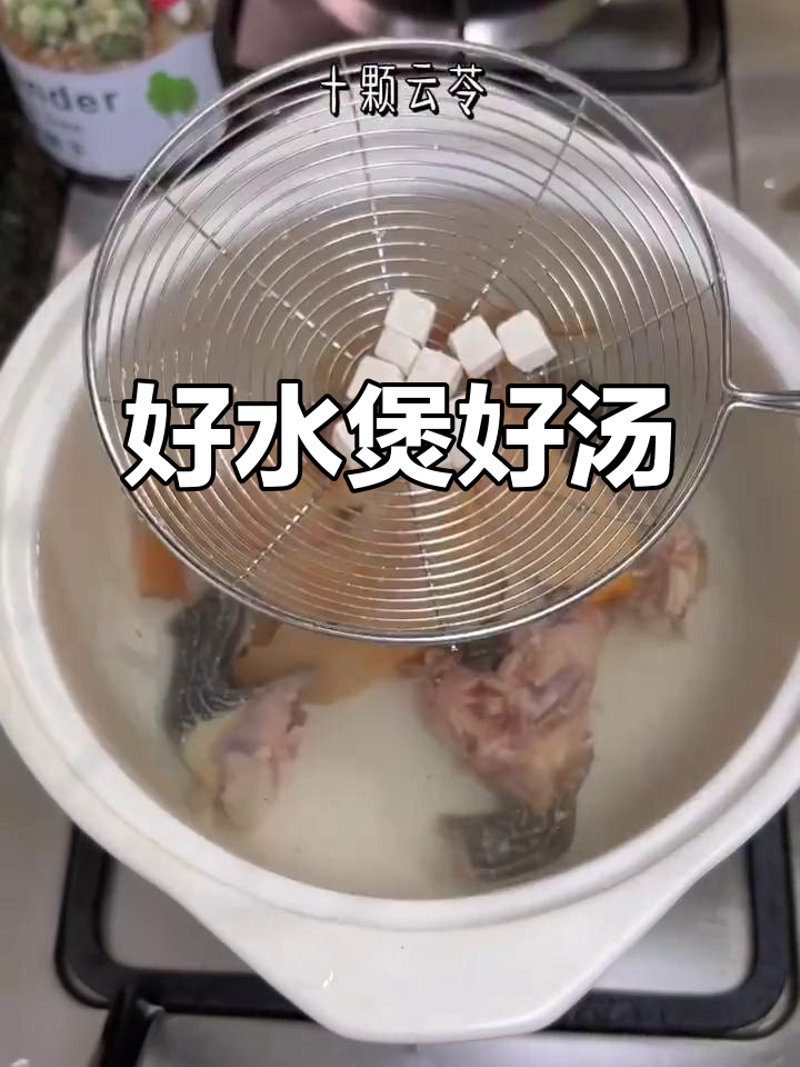土茯苓草龟汤,滋补又美味!