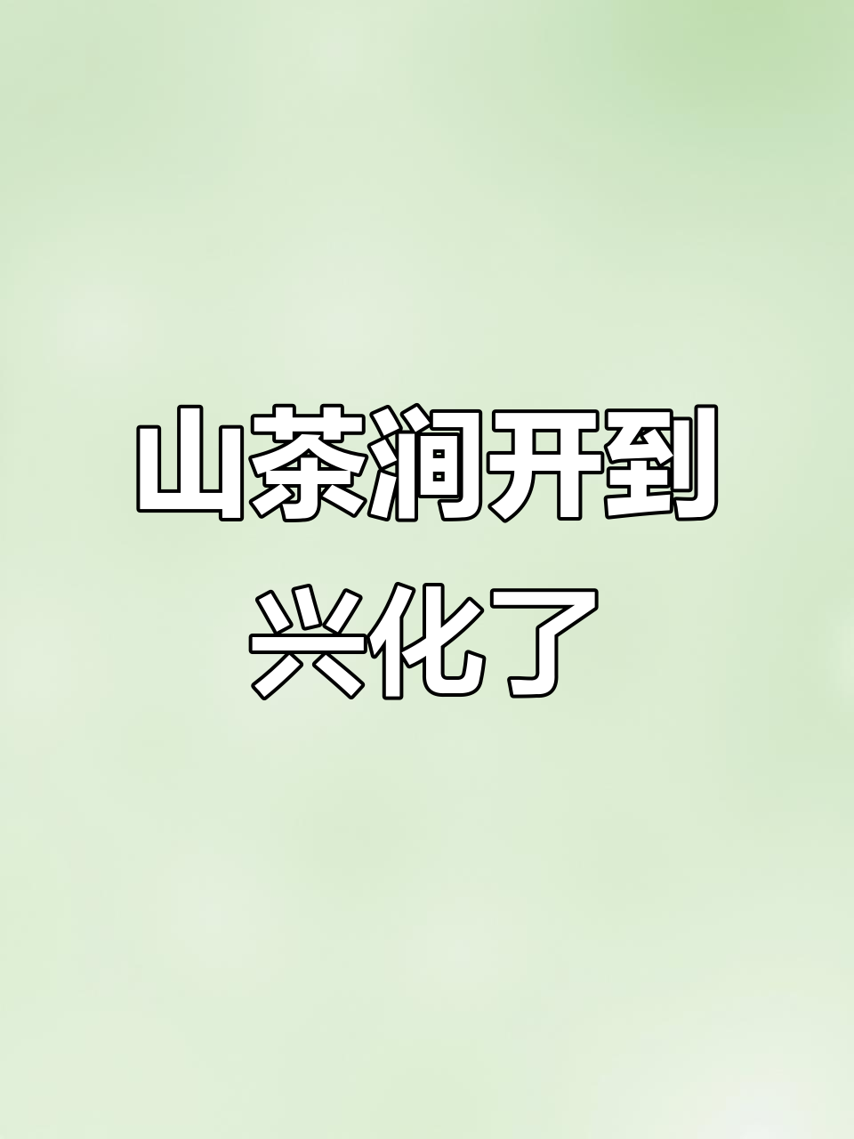 兴化新中式奶茶店,竹香雪顶与茉莉茶底完美结合