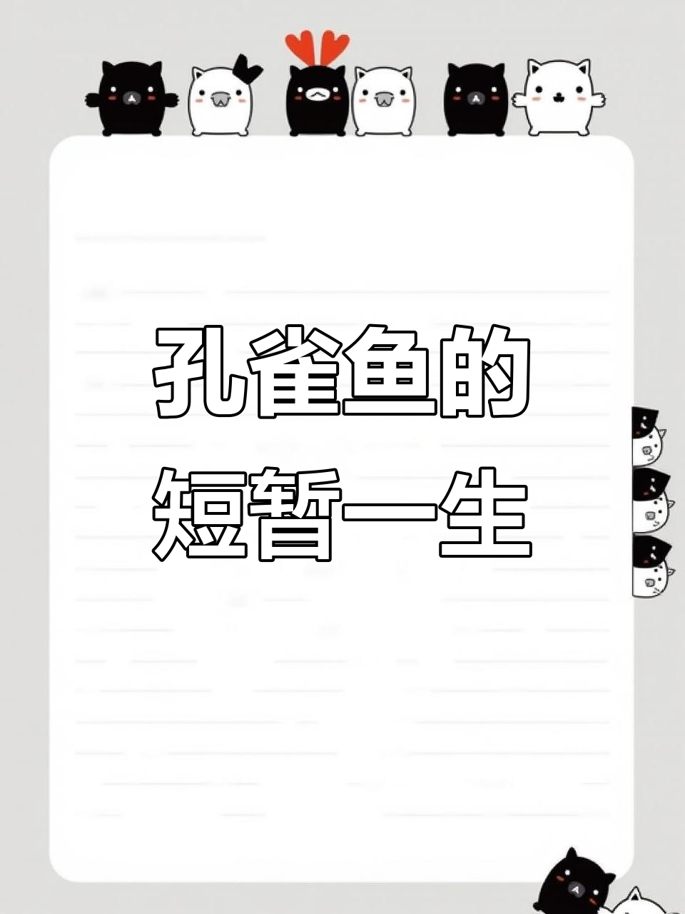 孔雀鱼的一生:从出生到繁殖,陪伴时间有限