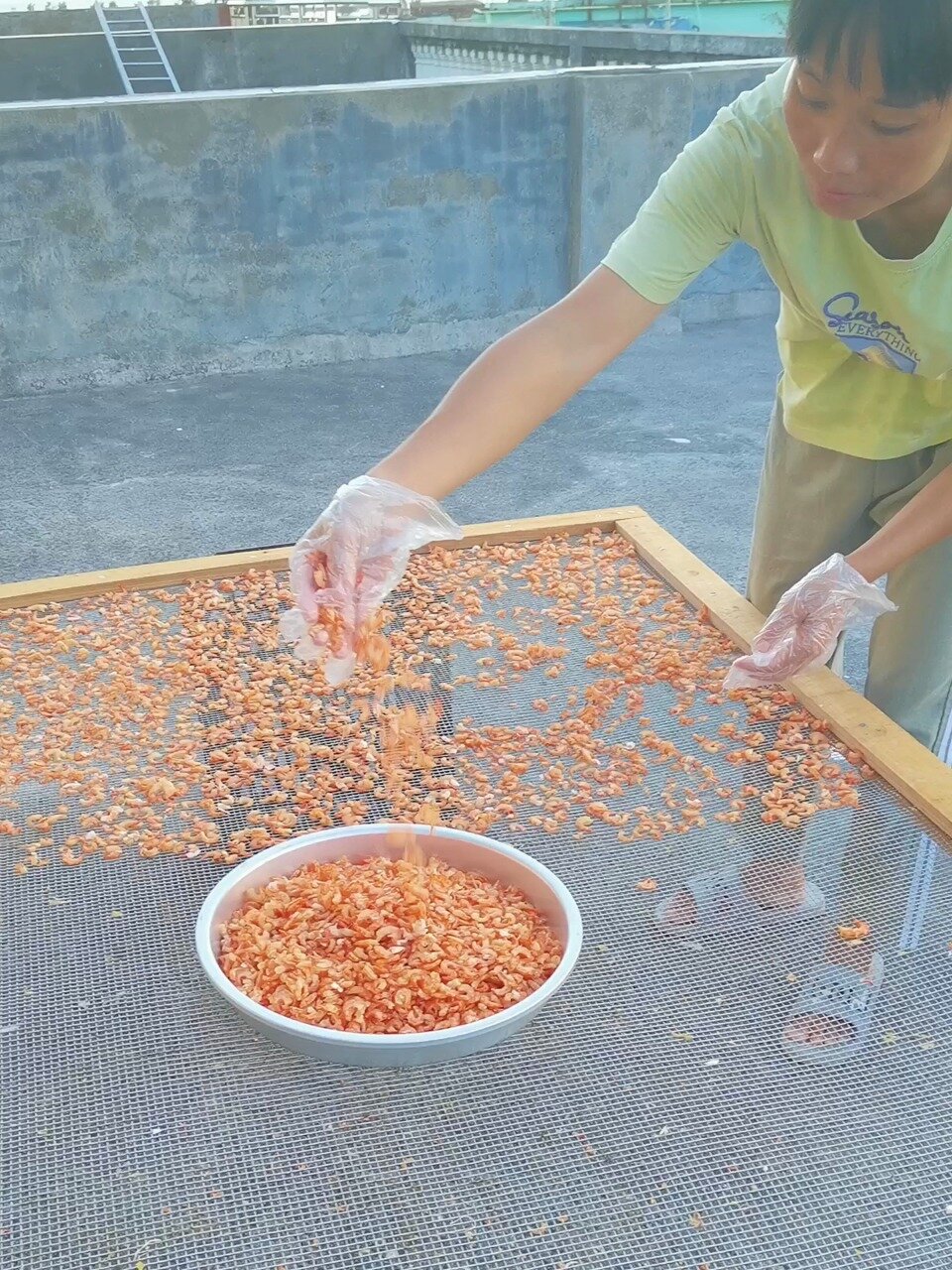 自晒海鲜虾米干货海米虾仁干虾即食宝宝辅食