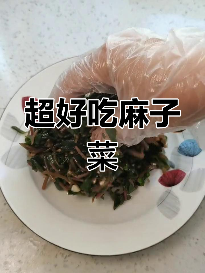 麻子菜雪面马齿苋,养生又美味!简单做法大揭秘