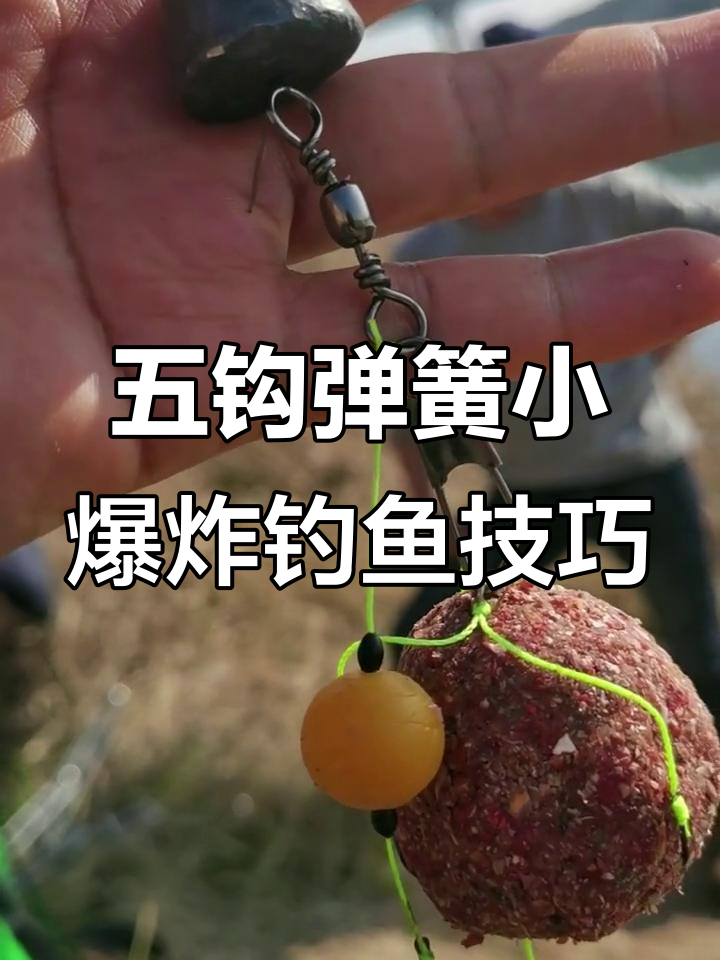 小爆炸钩组如何钓大鱼?五钩弹簧小爆炸的秘密