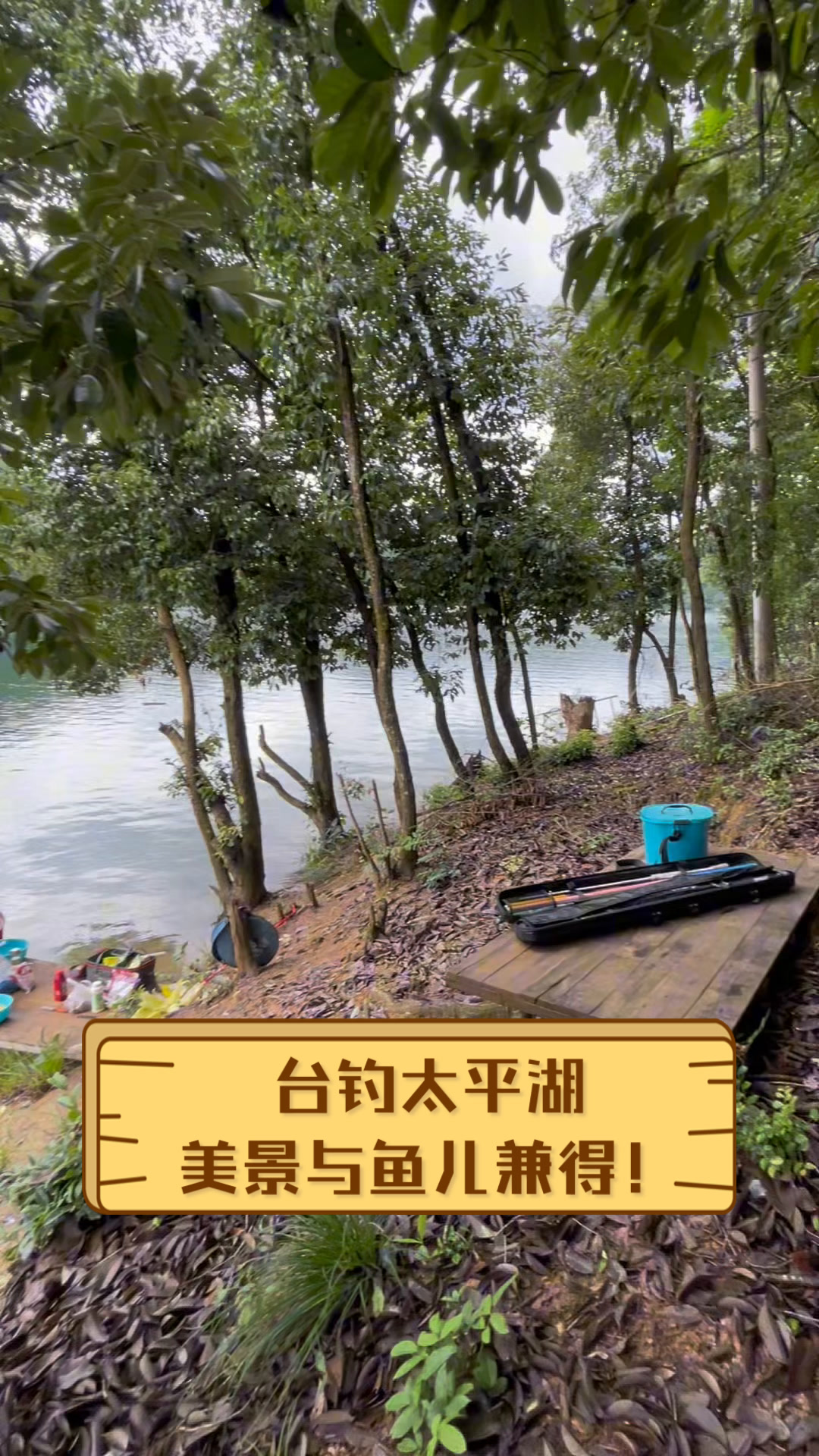 台钓太平湖,美景与鱼儿兼得!