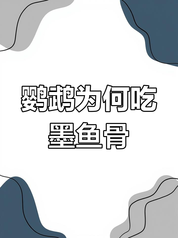 为什么鹦鹉要吃墨鱼骨?原来是为了这个原因