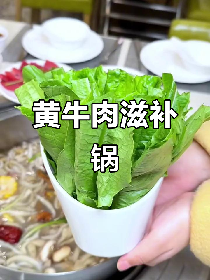 生态黄牛肉滋补锅，百元以内搞定三四人餐
