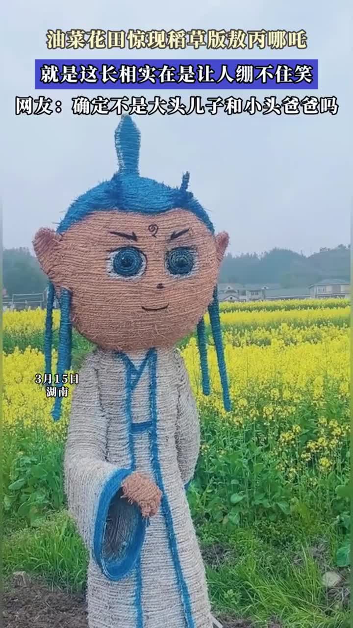 油菜花田现稻草版敖丙哪吒,长相让人忍俊不禁!