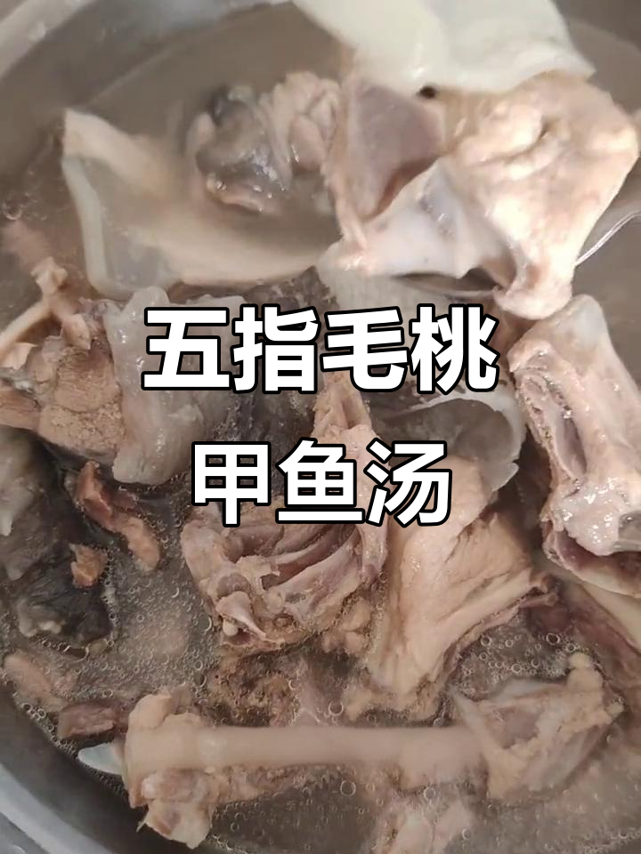甲鱼五指毛桃炖鸡汤,滋补美味一锅搞定