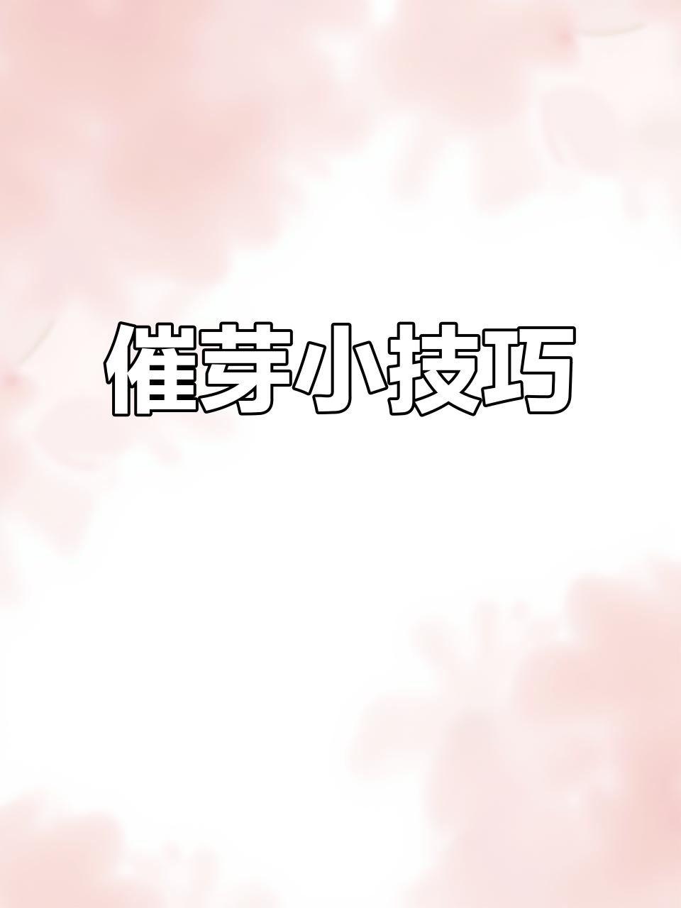 将芹菜种子泡水15小时,20度下十天左右发芽,及时播种