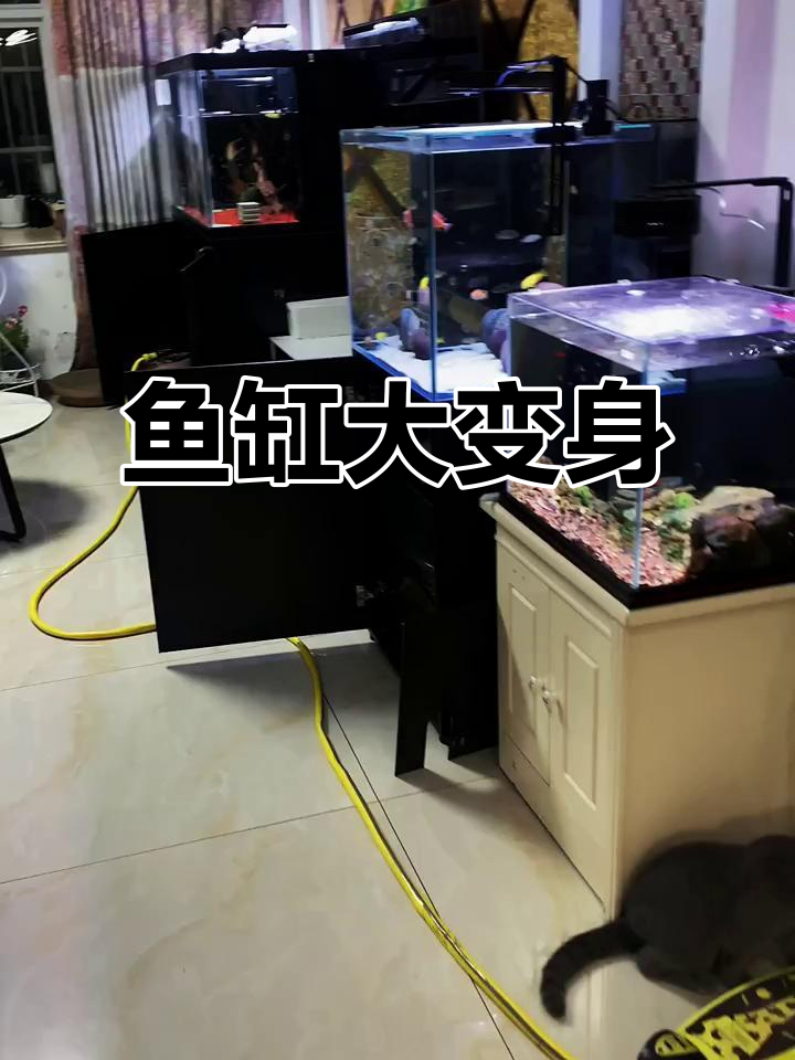 大缸改造,干湿分离与魔点灯升级;小缸变三湖背滤