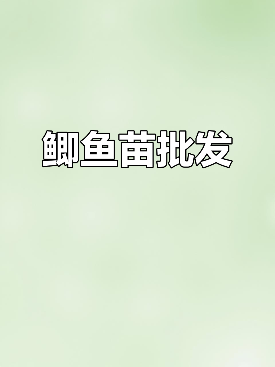 优质鲫鱼苗供应,东莞、惠州、深圳多地批发