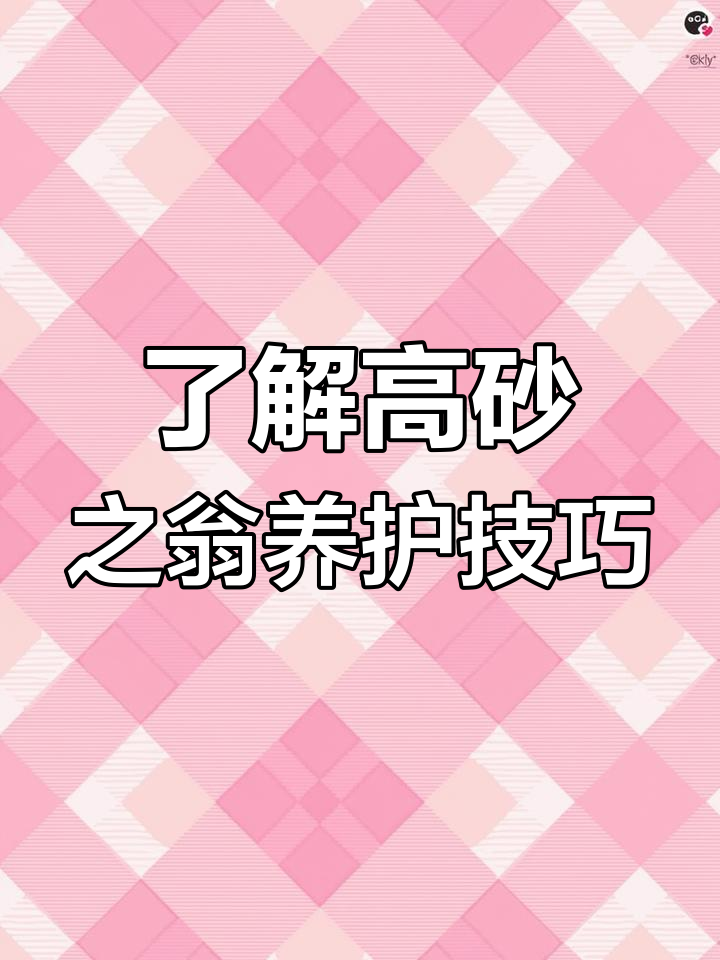 高砂之翁:景天科多肉植物,光照充足更美丽