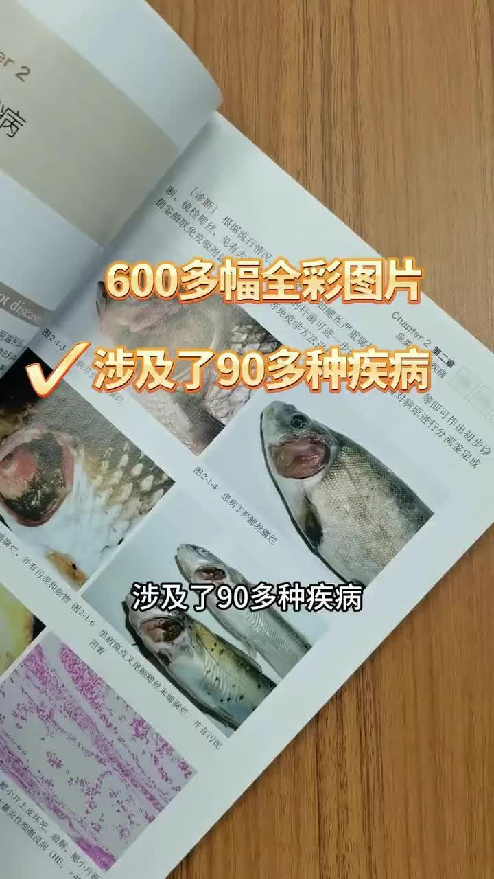 寄生虫爬满整条鱼都不知道是什么虫?!大家一定要学会辨别鱼类寄生虫 鲫鱼寄生虫 寄生虫 鱼病