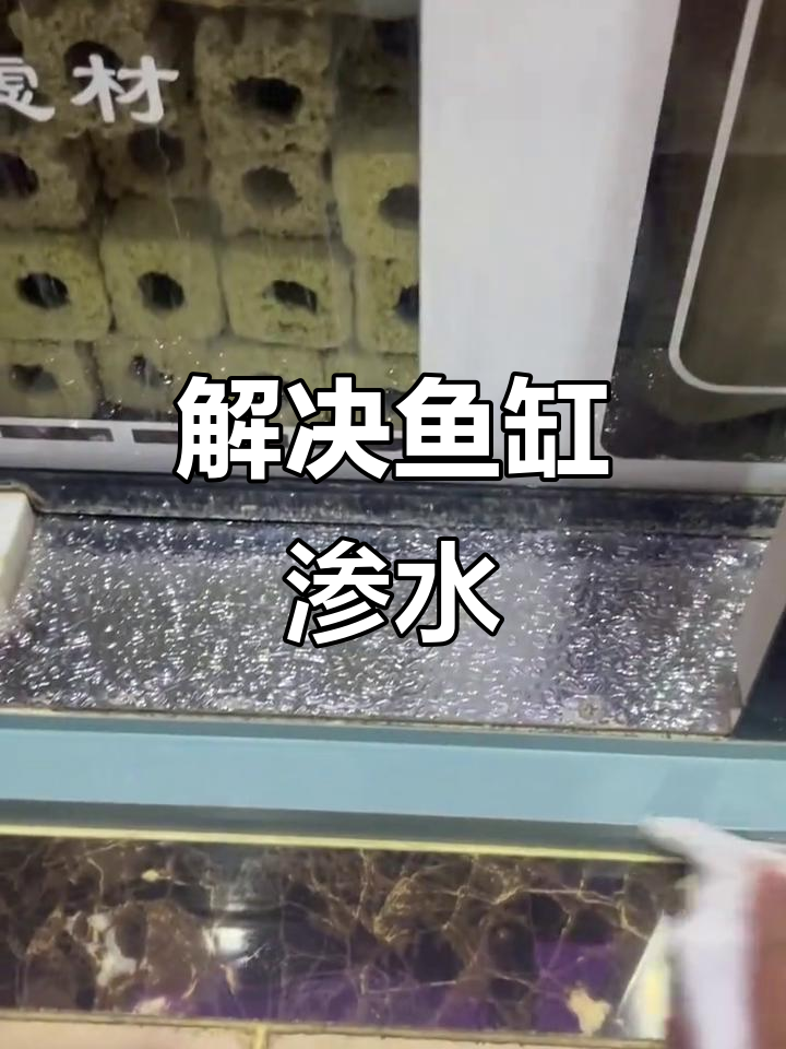 森森鱼缸漏水?教你轻松解决,告别烦恼!