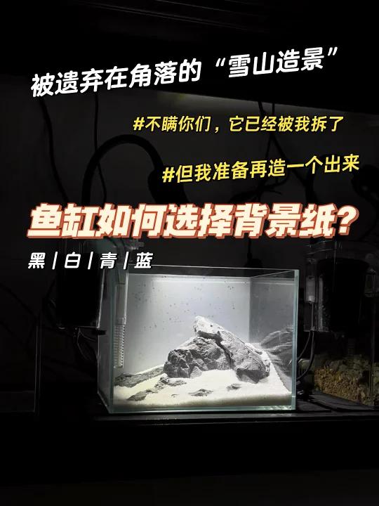 鱼缸如何选择背景纸?