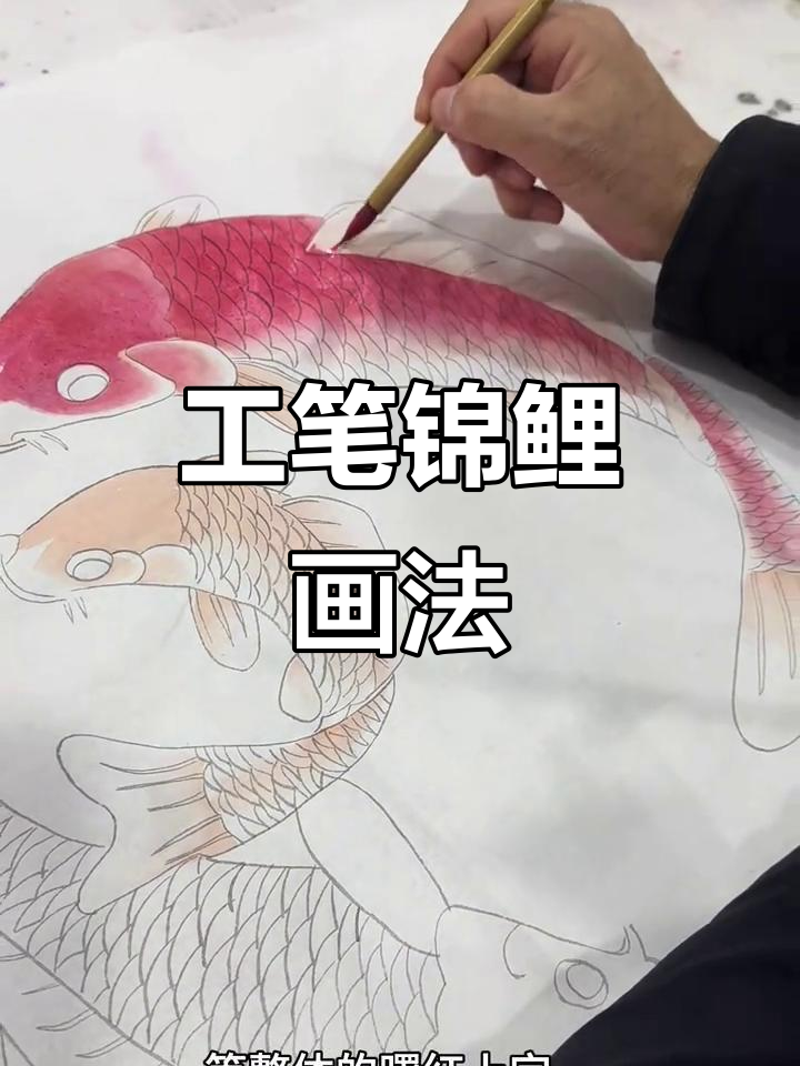锦鲤工笔画技巧:从朱标到属红,一步步教你画出栩栩如生的鱼鳍