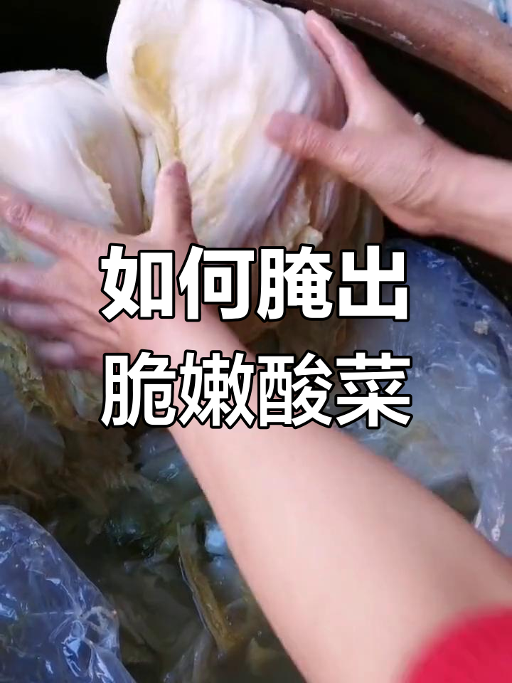 酸菜腌制技巧大揭秘:如何避免不脆又烂?