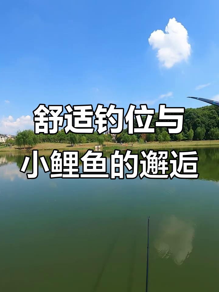 钓鱼人必备装备,轻松钓获大鲤鱼!