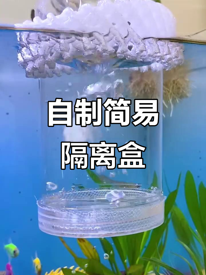 用废旧物品做隔离盒,简单又环保!
